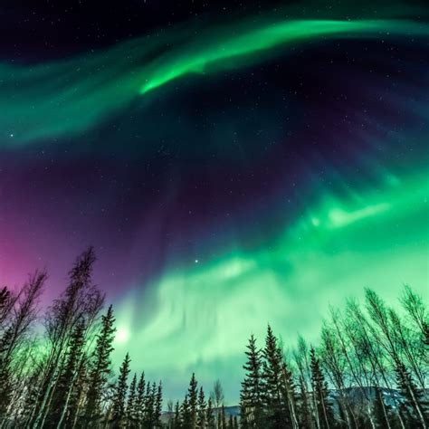 10 Reasons To Visit Fairbanks, Alaska In Summer | TravelAwaits