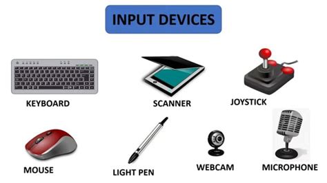 Types of Input Devices | Computer basics, Basic electronic circuits, Input devices