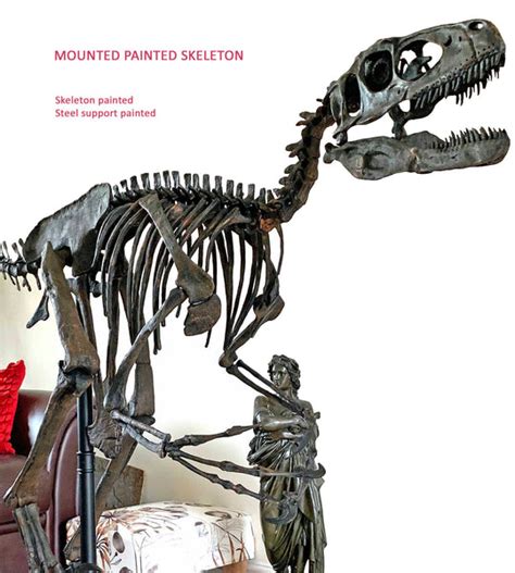 Deinonychus Raptor Skeleton Replica Fossil – Triassica