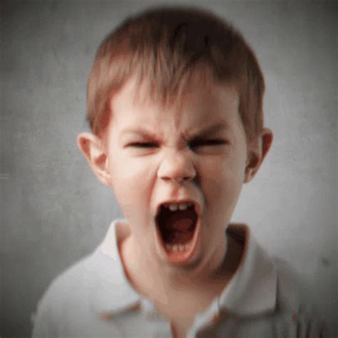 Angry Kid Screaming Kid GIF - Angry Kid Screaming Kid Angry - GIF-тэй ...