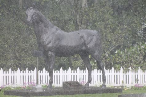 Thoroughbred Breeding: A MASTER OF TIME | The Thoroughbred Link