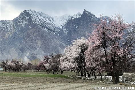 Shigar Valley in the Early Spring – Re:Discover Pakistan