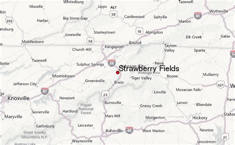 Strawberry Fields Weather Forecast