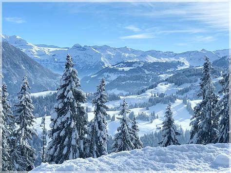 Swiss Winter Wonderland Photograph by Barbara Zahno - Fine Art America