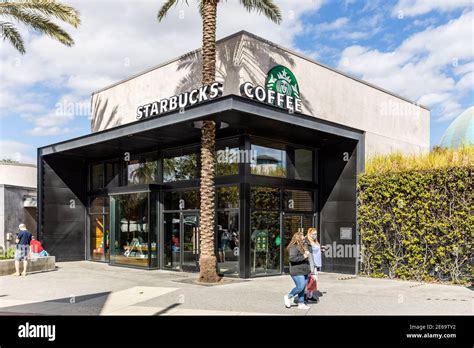 A modern Starbucks Coffee building with a palm tree growing their the facade and people walking ...