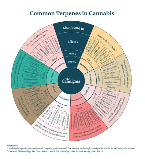 A Full Guide to Cannabis Compounds | The Cannigma