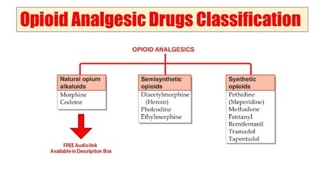 (35) Opioid Analgesics | Classification of Opioid Analgesic Drugs ...