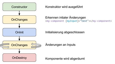 Der Component Lifecycle von Angular | Angular.DE