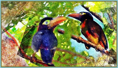 Small Toucans - explore - a photo on Flickriver