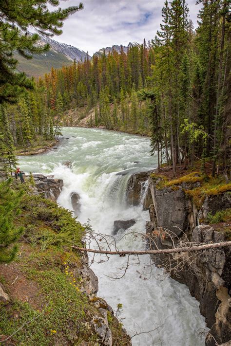 Sunwapta Falls - The Intrepid Life