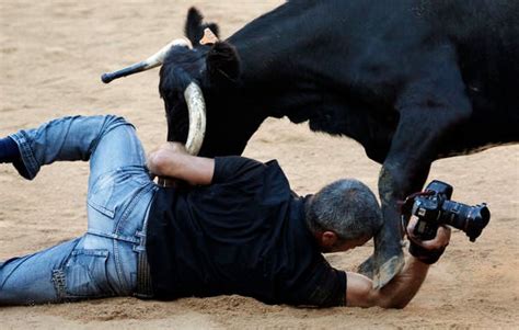 Reuters Photog Gets Into a Fight With a Bull, Somehow Saves His Camera ...