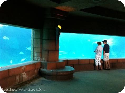 Atlantis Aquarium - One of the best attractions at the Atlantis Bahamas