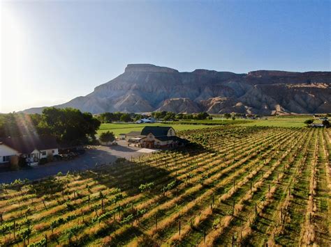 Palisade Colorado winery for sale with vineyard, tasting room, farmhouse — Garfield Estates ...