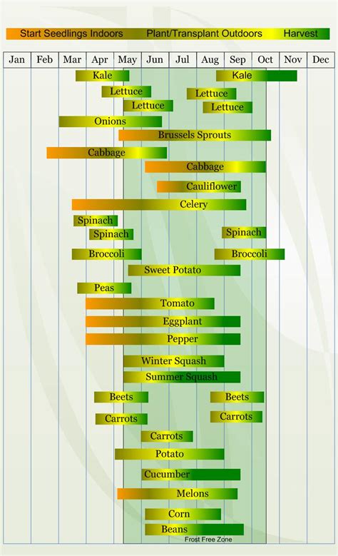 Zone 6 Planting Schedule 2024 - Hettie Gertrude