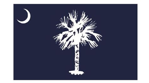 Historians propose new South Carolina state flag design