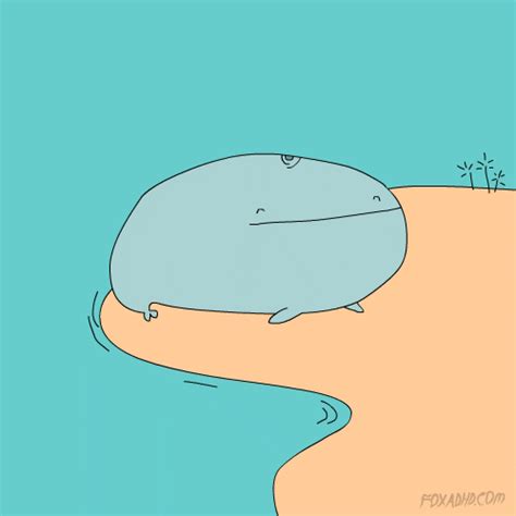 Beached Whale GIFs - Find & Share on GIPHY