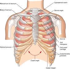 Sternum Pain Treatment - Chest Pain Relief