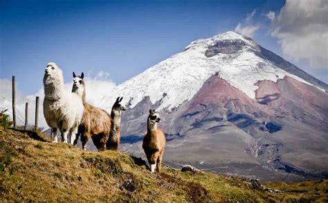 El Cotopaxi, destino imprescindible | Sucre Noticias