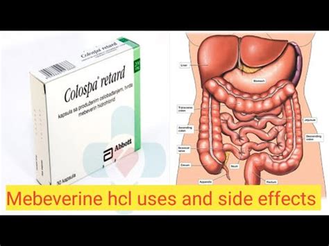 Mebeverine hcl tablet uses/Mebeverine hcl side effects full review - YouTube