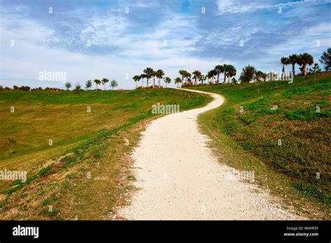 Trail leading up to Observation Hill in the Celery Fields park ...