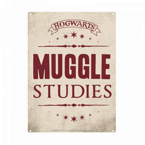 Harry Potter Muggle Studies Small Tin Sign - Walmart.com - Walmart.com