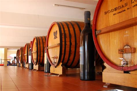 Tour de viñedos y bodegas - Tourse - Excursiones