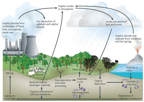 The use of the sulfur cycle for the removal of metals and S-compounds - WUR