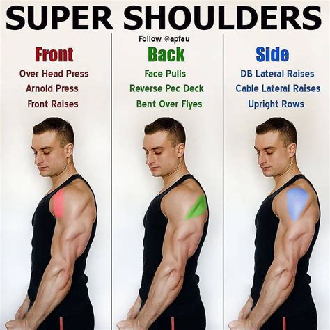 SUPER SHOULDERS by@apfau... | Deltoid workout, Shoulder workout routine ...