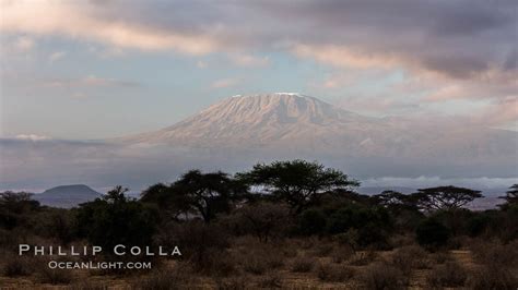 Mount Kilimanjaro, Amboseli National Park, Kenya, #29540