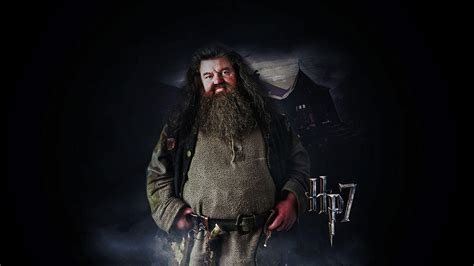 Rubeus Hagrid Wallpapers - Wallpaper Cave