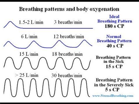 Normal Respiratory Rate, Volume, Breathing Chart, ... | Respiratory ...