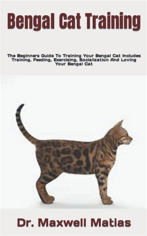 Bengal Cat Training: The Beginners Guide To Training Your Bengal Cat ...