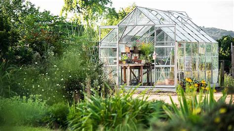 Best Greenhouse Temperature Control Tips to Help Your Plants