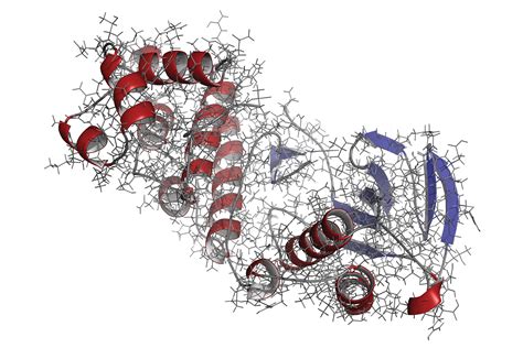 Peptide Mapping Using Intelligent Data Capture on Vion IMS QTof | Waters