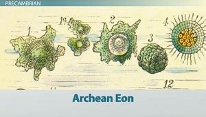The History of Life on Earth: Timeline and Characteristics of Major Eras - Video & Lesson ...