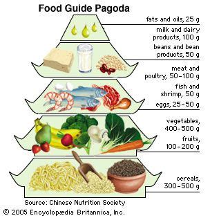 Chinese Food Guide Pagoda | Food guidelines, Food guide, Nutrition