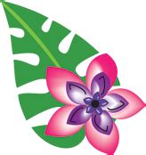 Hawaii Clipart Hawaiian Floral - Hibiscus Clip Art Transparent PNG - Clip Art Library