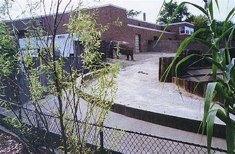 Photo 03: Former elephant exhibit - Copyright © 1990’s by Animal Diaries