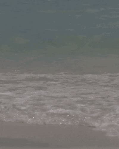 Beach Waves GIF - Find & Share on GIPHY