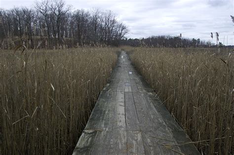 Cheesequake State Park – Blue Trail | njHiking.com