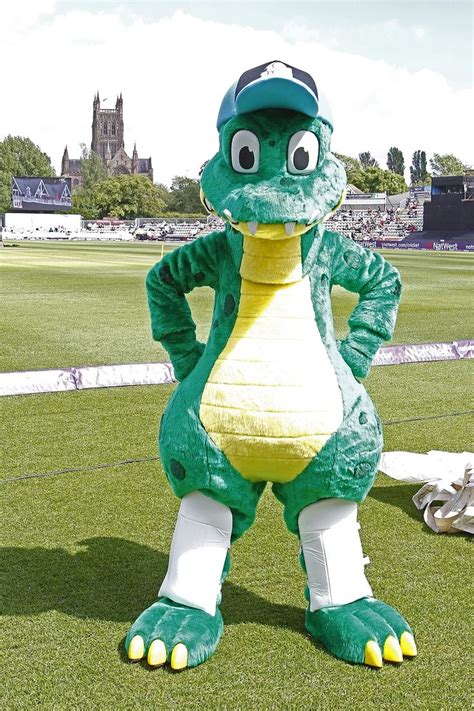 14 best SPORTS MASCOTS: Cricket images on Pinterest | Cricket, Mascot costumes and Character ...