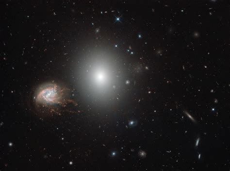 Hubble Image of the Week - The Impressive Coma Cluster