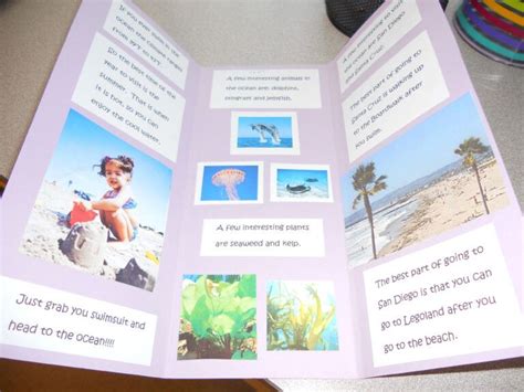 Biome Travel Brochure | Travel Brochure, Science Classroom within Brochure Templates For School ...