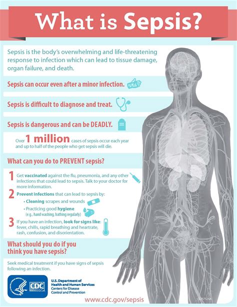 Pathophysiology Of Sepsis And Septic Shock