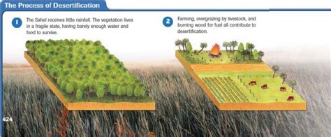 Africa: Human–Environment Interaction