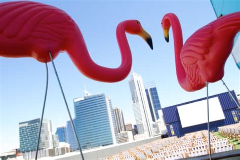 Rooftop Movies in Perth – Classics, Pink Flamingos and An Evening Under the Stars