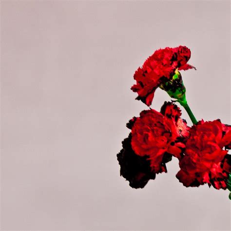 John Legend Reveals 'Love In The Future' Album Cover & Tracklisting | ThisisRnB.com - New R&B ...