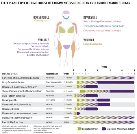 FAQ: What Happens To Your Body On Hormones - Teen Health Source