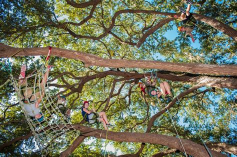 Recreational Tree Climbing - Common Ground Adventures