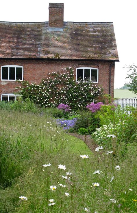 "Rose covered cottage" by Susan R~ on Flickr - Cottage with daisies and climbing roses in ...